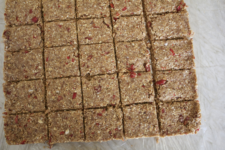 Almond Goji Trail Treats ©2014 The Conscious Kitchen 